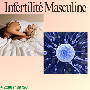 Infertilité chez l'Homme : Diagnostic et Perspectives de Traitement